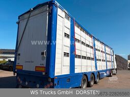 Finkl 3 Stock Hubdach Typ 2  