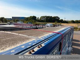 Finkl 3 Stock Hubdach Typ 2  