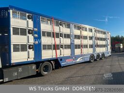 Finkl 3 Stock Hubdach Typ 2  