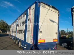 Finkl 3 Stock Hubdach Typ 2  