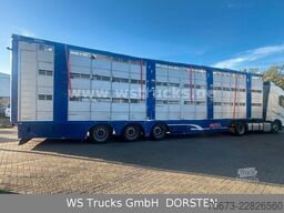 Finkl 3 Stock Hubdach Typ 2  