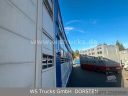 Finkl 3 Stock Hubdach Typ 2  