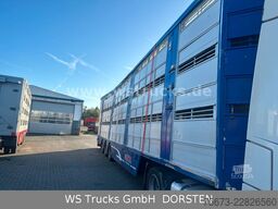 Finkl 3 Stock Hubdach Typ 2  