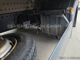 MAN TGL 7.150 / Termo King FRIGO COOL / 5m Koffer