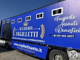 Michelin Trasporto cavalli