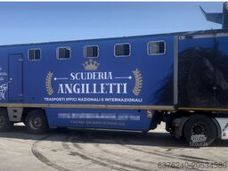 Michelin Trasporto cavalli