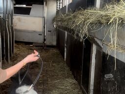 Michelin Trasporto cavalli