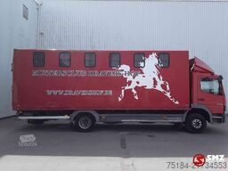 Mercedes-Benz Atego 1218