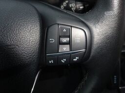 FORD Nugget 185PS Autm. Markise AHK ACC Navi SHZ