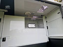 Renault Master MTM S3 EXCLUSIVE ! Nieuw model paardenwa...