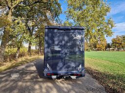 Renault Master MTM S3 EXCLUSIVE ! Nieuw model paardenwa...