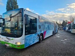 MAN 2 x  Lion?s City G A 23 G , Citaro 530 G