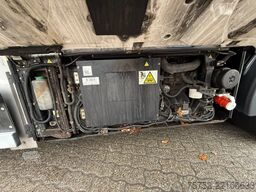 DAF CF 430 13L Frigo AHK Mitsubishi -35 D+E Flowers...