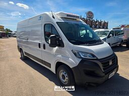 FIAT DUCATO MULTIJET 2023 FRIGORIFERO FRC