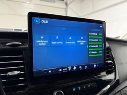 Ford Transit 350 Kasten,Trail,Limited,L2H2,LED,AHK