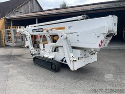 Teupen Leo 30 T (30m)