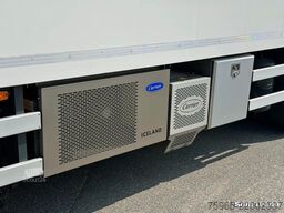 DAF XG 480 EURO 6E FAR 50 CC COMBI CARRIER TRS KOELI