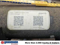 Gigant Starrachse 17,5 , 10,5t, Anhängerachse