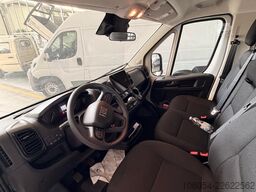 FIAT Ducato Maxi