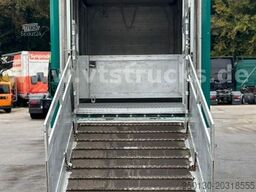 MERCEDES-BENZ Actros 1842 4x2 KA-BA 2-Stock Viehaufbau