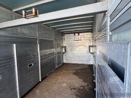 MAN TGA 18.390 4x2 LKW Viehtransporter Cuppers 18t.