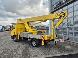 MAN TGL 8.150 4x2 Bison Palfinger TKA 30