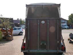  Holz Poly  2 Pferde