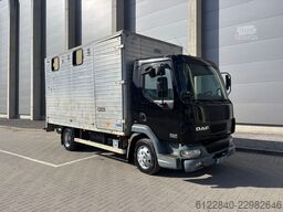 DAF LF 45
