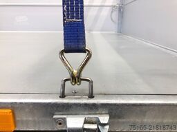 Cheval Liberte Debon PW1.2E Lux E-Pumpe BW-Aufsatz Rückwärtskipper