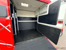 RENAULT Master STX Haras 3 sitzer