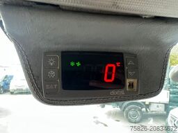 FIAT Ducato Kasten 30 120*Kühlkasten*0°*