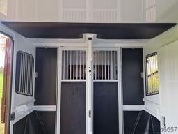 Renault Master MTM S3 EXCLUSIVE ! Nieuw model paardenwa...