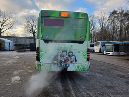 MERCEDES-BENZ Citaro O530 LE, Gurtem Armlehnen, Gardinen