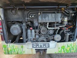 MERCEDES-BENZ Citaro O530 LE, Gurtem Armlehnen, Gardinen