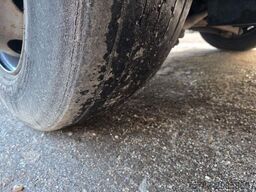 MERCEDES-BENZ Citaro O530 LE, Gurtem Armlehnen, Gardinen