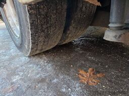 MERCEDES-BENZ Citaro O530 LE, Gurtem Armlehnen, Gardinen