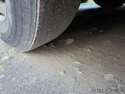 SETRA S419 UL Reisebus/Überlandbus, 69+2+1,ZF Inatrder