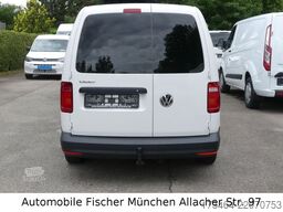 VW Caddy Nfz Maxi Kasten EcoProfi SHZ Regaleinbau