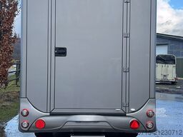 Steinsberger ANKA 2 Pferde mit Hengstausstattung