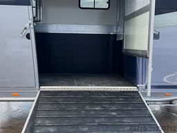 Steinsberger ANKA 2 Pferde mit Hengstausstattung