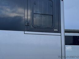 Steinsberger ANKA 2 Pferde mit Hengstausstattung