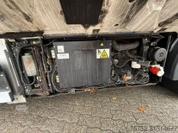 DAF CF 430 13L Frigo AHK Mitsubishi -35 D+E Flowers...