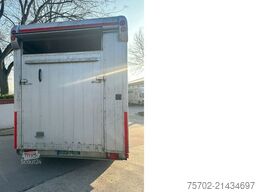  Steinsberger 3-Pferdeanhänger