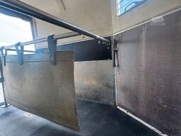 BÖCKMANN P11 Kutschanhänger 2,4t Pferdeanhänger