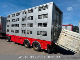  Michieletto 4 Stock Hubdach