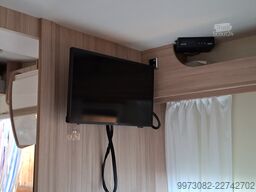 Ahorn T 690