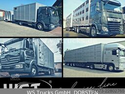 MAN TGL 8.150 Koffer Blatt/Blatt