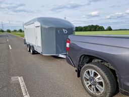 Debon Roadster 1000 Flügeltüren Pullman direkt