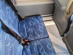 MERCEDES-BENZ Sprinter 516, Daily, Crafter