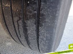 SCHWARZMÜLLER Light Palettenkasten SAF Achsen TÜV 08/26